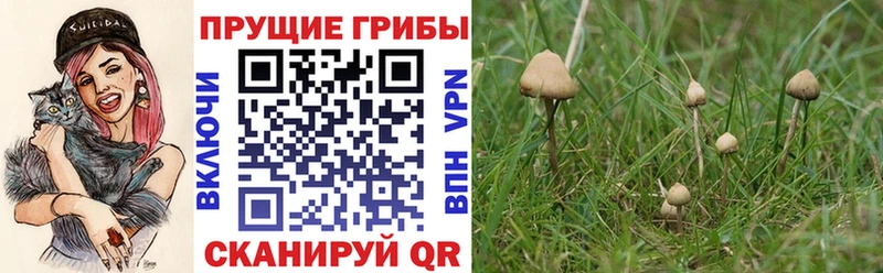 Галлюциногенные грибы Magic Shrooms МЕГА как войти Салехард